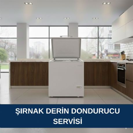 Şırnak Derin Dondurucu Servisi